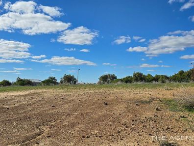 9 Coral Boulevard, Kalbarri WA 6536