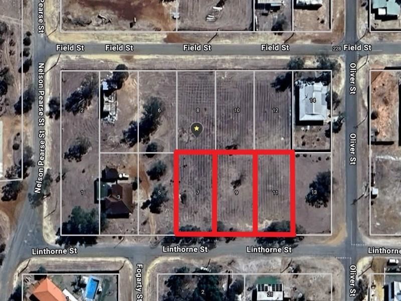 7 Linthorne Street, Mingenew WA 6522
