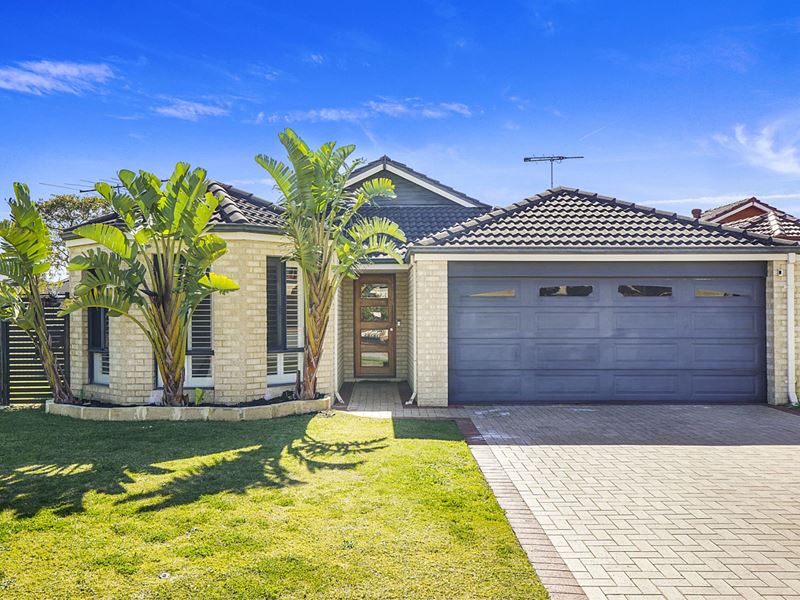 3 Brolo Court, Stirling WA 6021