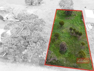 43 Richmond Street, Williams WA 6391