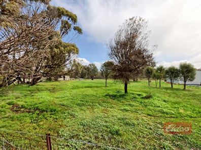 43 Richmond Street, Williams WA 6391