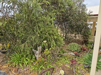 50 Maitland Street, Hopetoun WA 6348