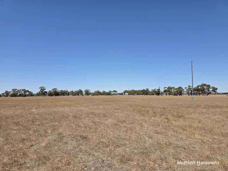 220 Nagel Road, Badgebup WA 6317