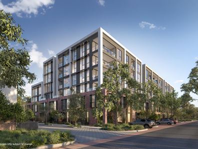 209/133 Salvado Road, Subiaco WA 6008