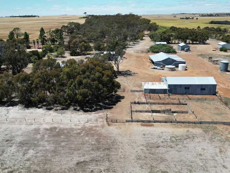 4480 Katanning-Nyabing Road, Nyabing