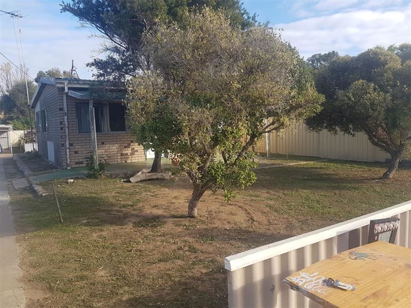 5 Short, Dongara