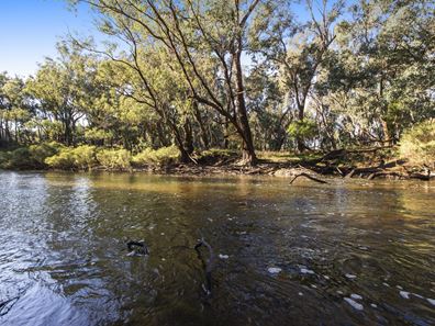 Lot 5399 Brockman Highway, Nannup WA 6275