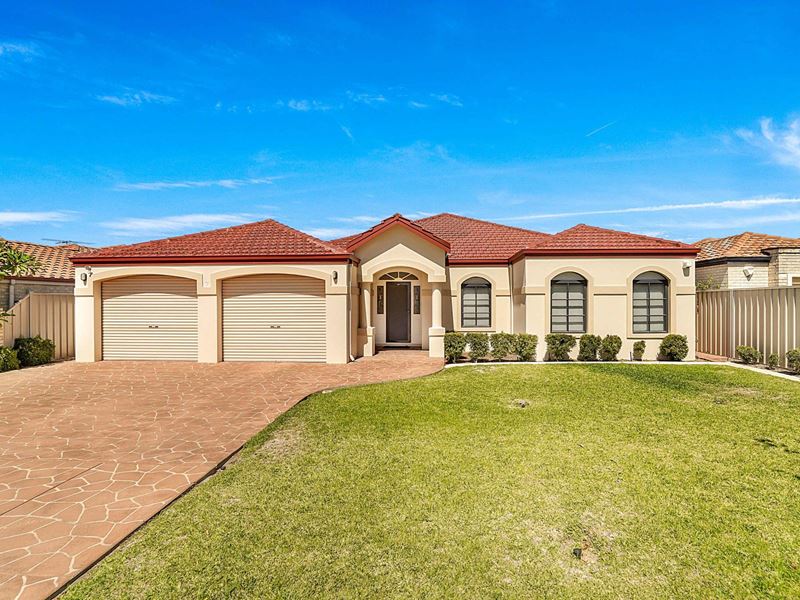 7 Lorikeet Court, Stirling