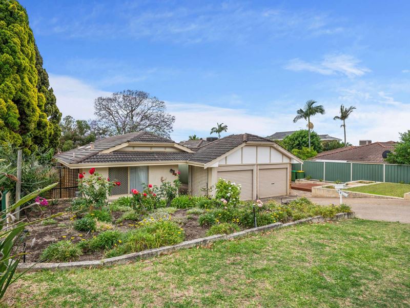 1B Emerald Avenue, Mount Pleasant
