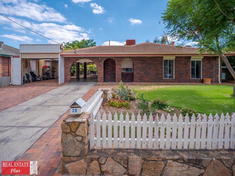 20 Wilkins Street, Bellevue