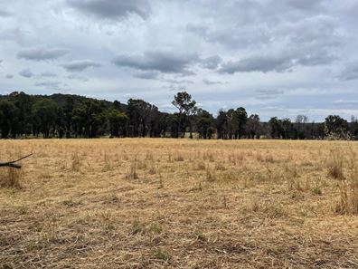 Lot 245 & Donnybrook-Boyup Brook Road, Glen Mervyn WA 6239