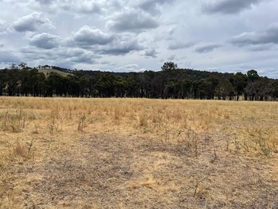 Lot 245 & Donnybrook-Boyup Brook Road, Glen Mervyn WA 6239