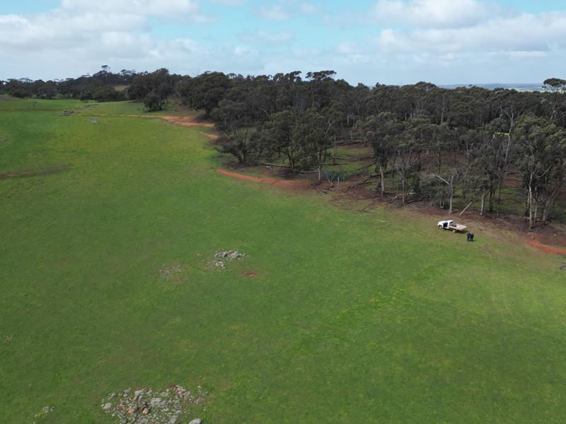 235 Luptons Road, Westdale