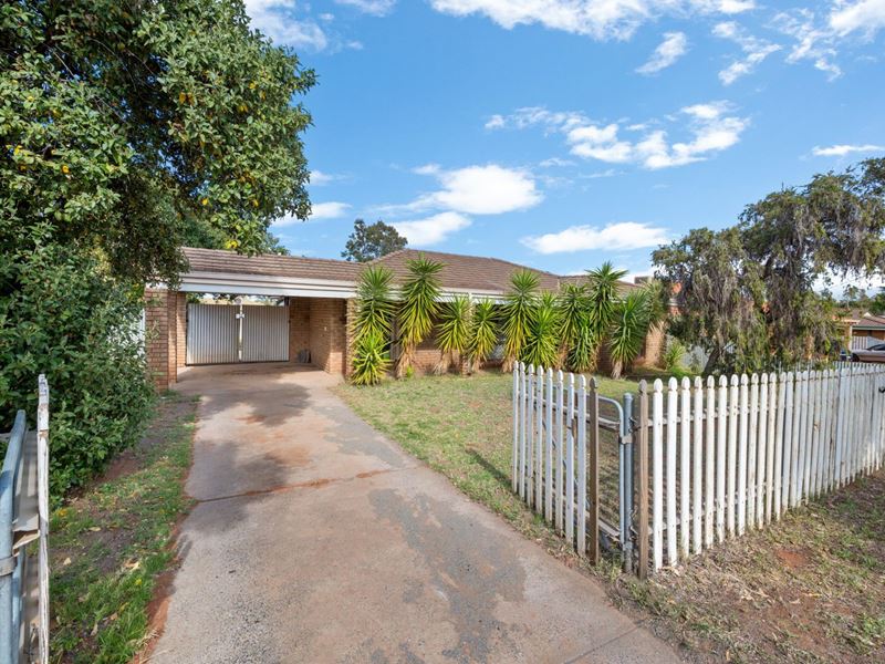 10 Cotter Place, Hannans WA 6430