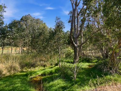 Lot 30 Windy Hollow Vale, Kangaroo Gully WA 6255