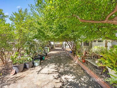61 Mckinley Street, Collie WA 6225