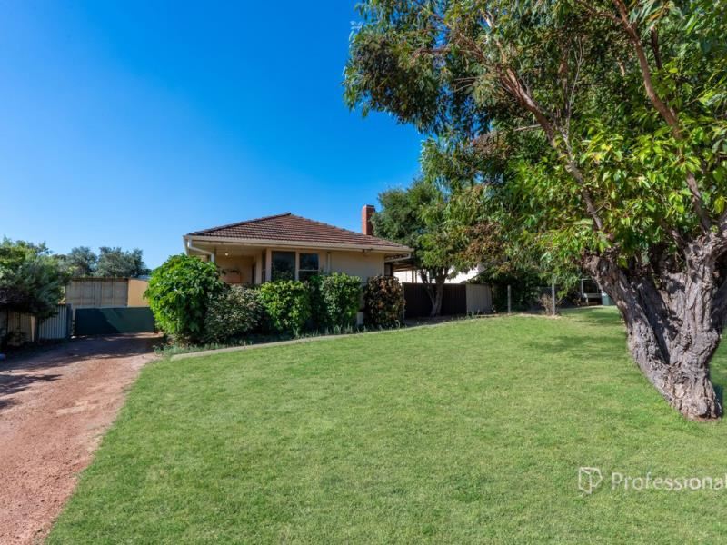 11 Zamia Street, Rangeway WA 6530