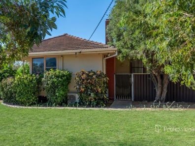 11 Zamia Street, Rangeway WA 6530