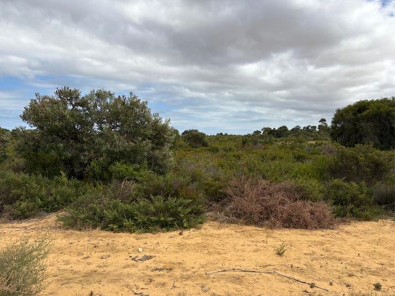 Lot 137,  Paperbark Avenue, Gabbadah WA 6041