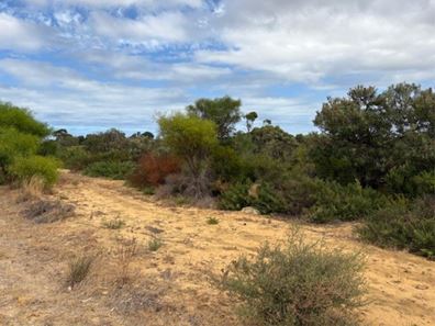 Lot 137,  Paperbark Avenue, Gabbadah WA 6041