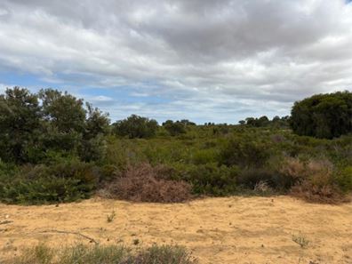 Lot 137,  Paperbark Avenue, Gabbadah WA 6041