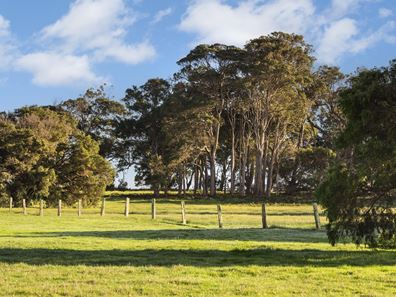 Lot 41,  Blackwood Grove, Kudardup WA 6290