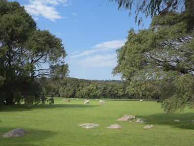 Lot 41,  Blackwood Grove, Kudardup WA 6290