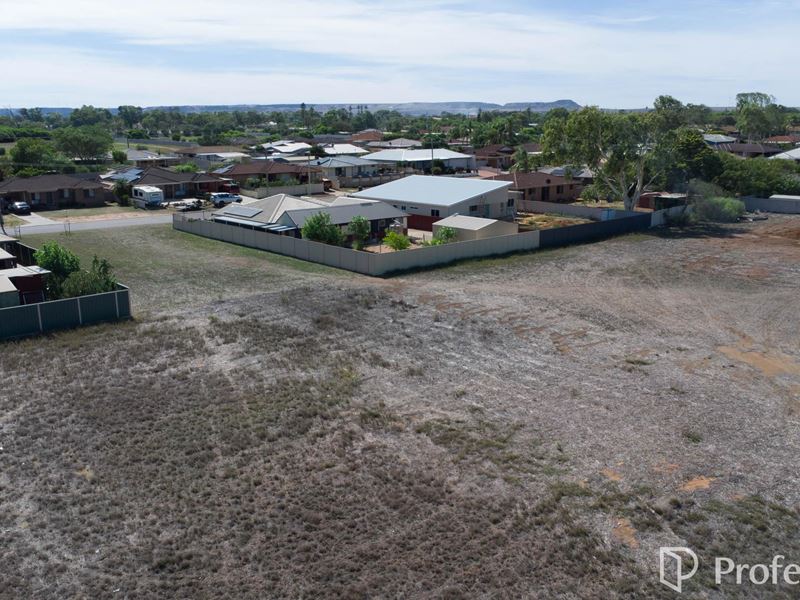 3 Callistemon Court, Utakarra WA 6530