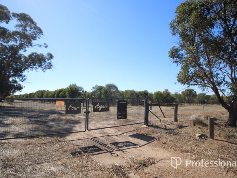11 Doyle Road, Arthur River