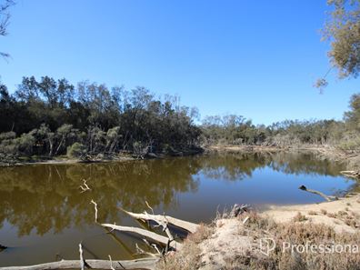 11 Doyle Road, Arthur River WA 6315