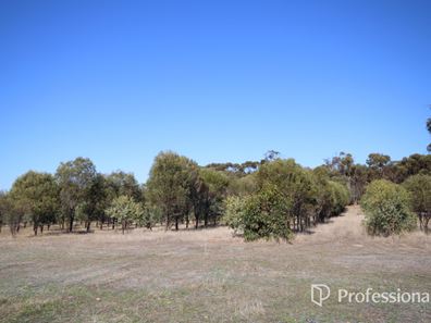 11 Doyle Road, Arthur River WA 6315