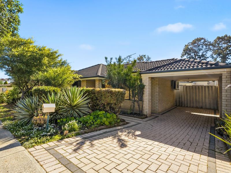 34A Barnes Street, Innaloo WA 6018