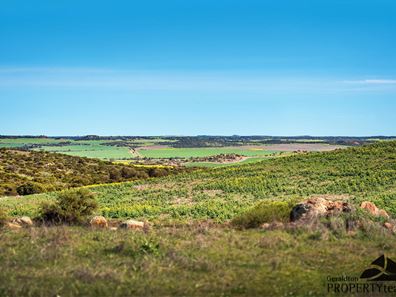 Lot 65 Forrester Road, Mount Erin WA 6532