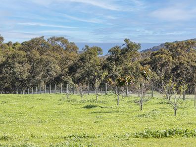 175 Dryandra Avenue, Yallingup WA 6282