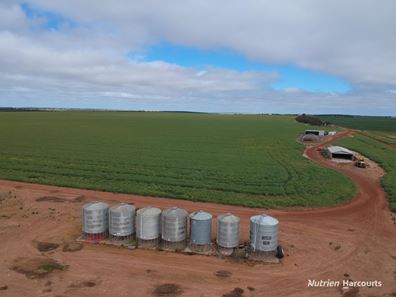 . North West Coastal Highway, Binnu WA 6532