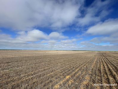 . North West Coastal Highway, Binnu WA 6532
