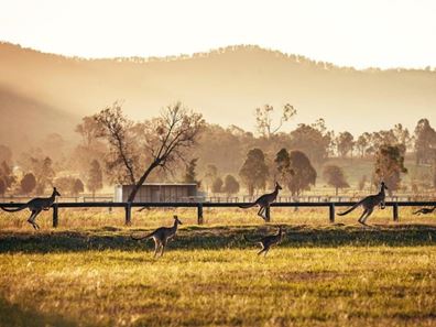 Lot 804,  Yorrell Road, Baldivis WA 6171