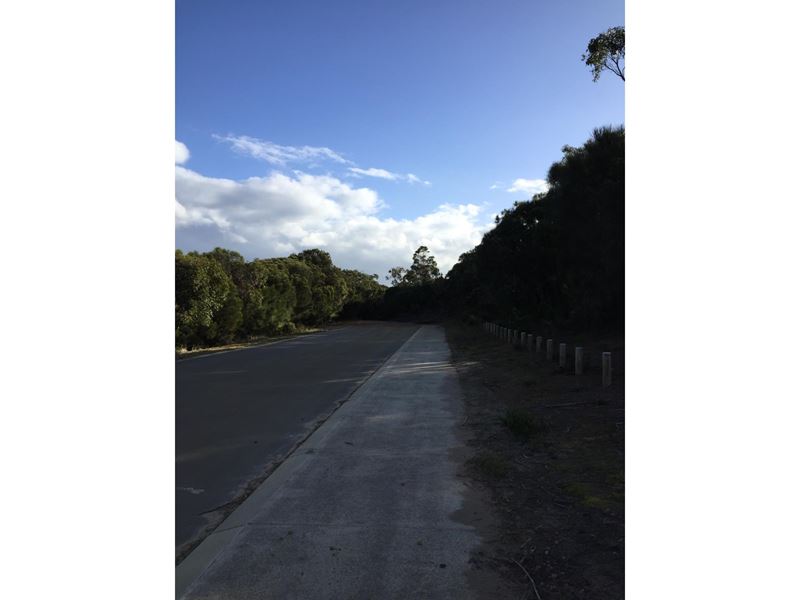38 Bandicoot Drive, Lange