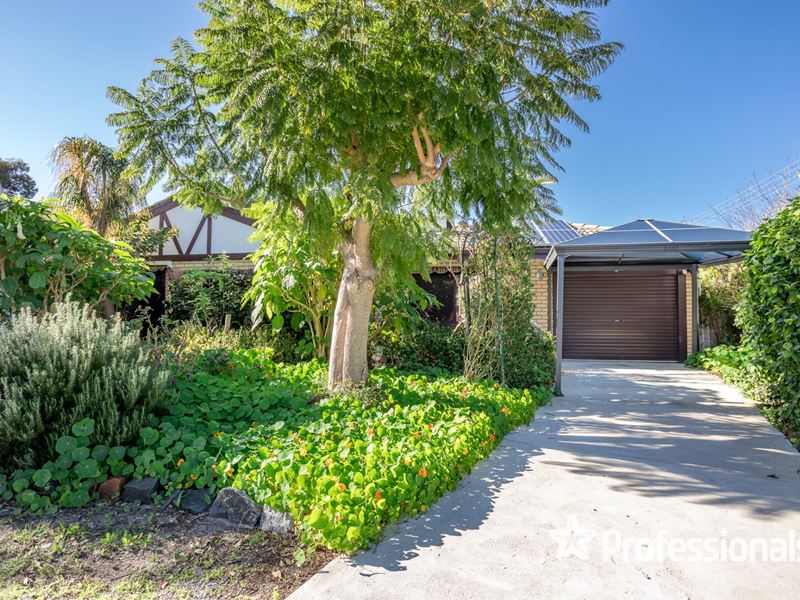 24 Cambell Road, Armadale WA 6112