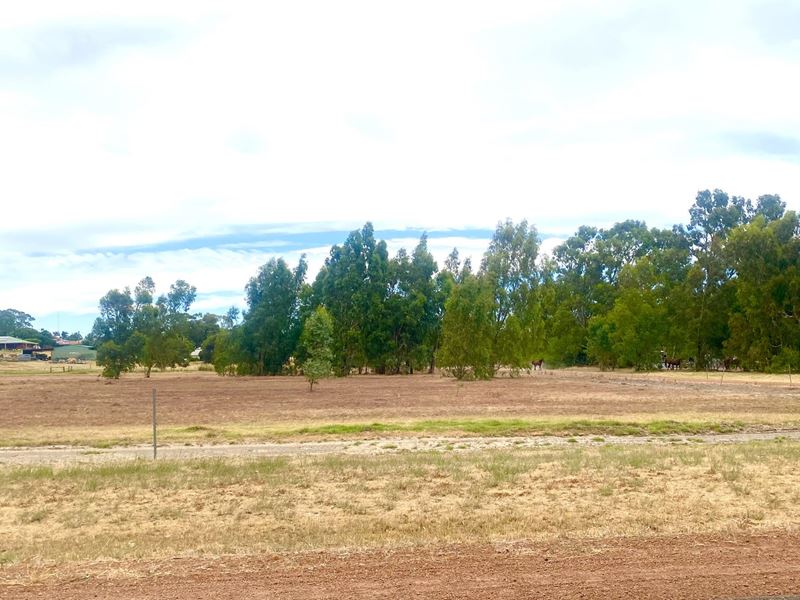 Lot 314 Paterson Road, Waroona