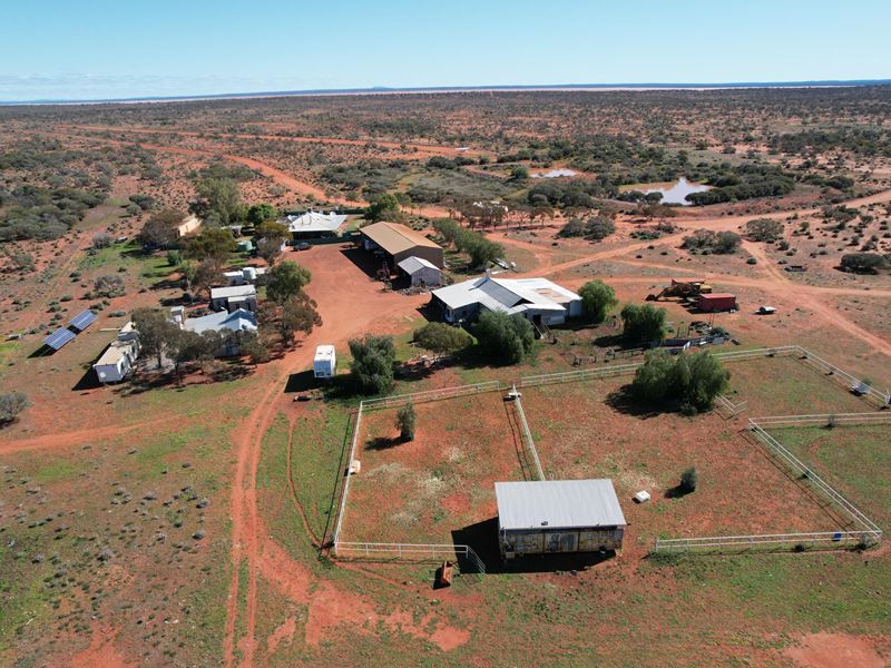 Maranalgo Station, Paynes Find WA 6612
