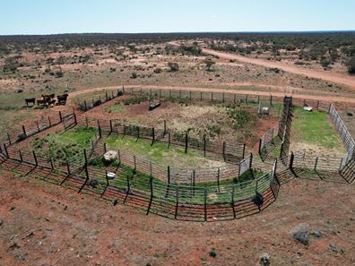 Maranalgo Station, Paynes Find WA 6612