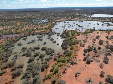Maranalgo Station, Paynes Find WA 6612