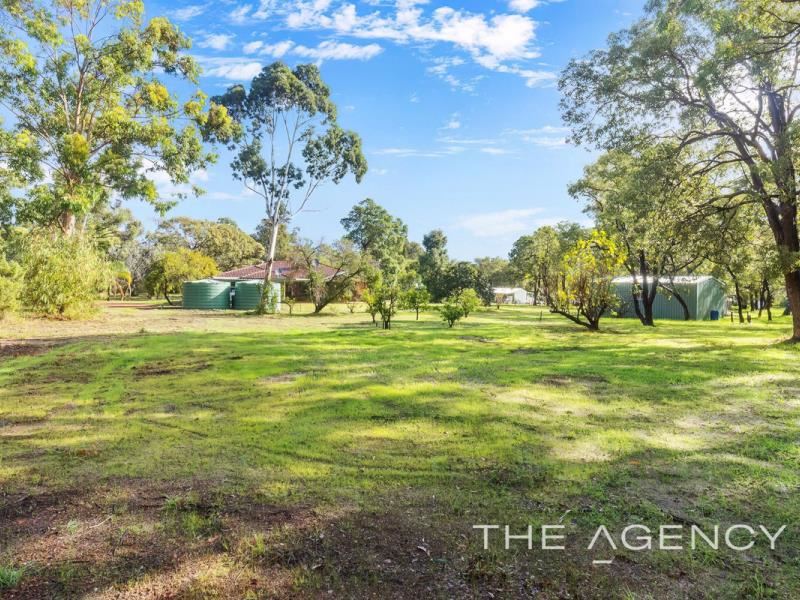 51 Johnson Place, Wattle Grove WA 6107