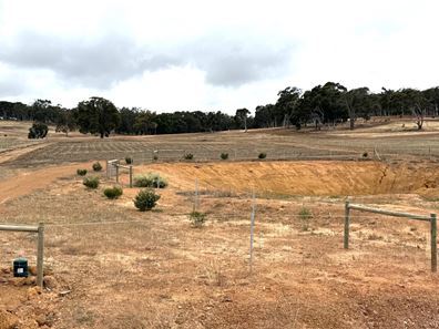 250 (Lot 146) Guernsey Rise, Chittering WA 6084