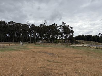 Lot 40, 42 Carnaby Crescent, Witchcliffe WA 6286