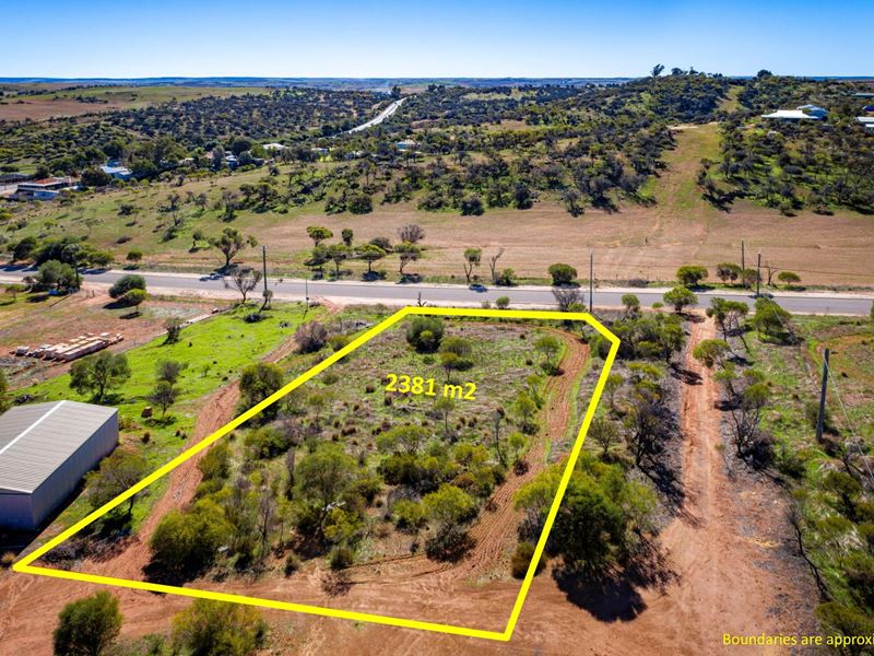 99 Wannerenooka Road, Northampton WA 6535
