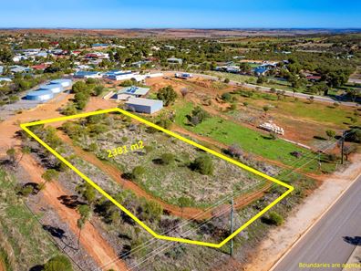 99 Wannerenooka Road, Northampton WA 6535
