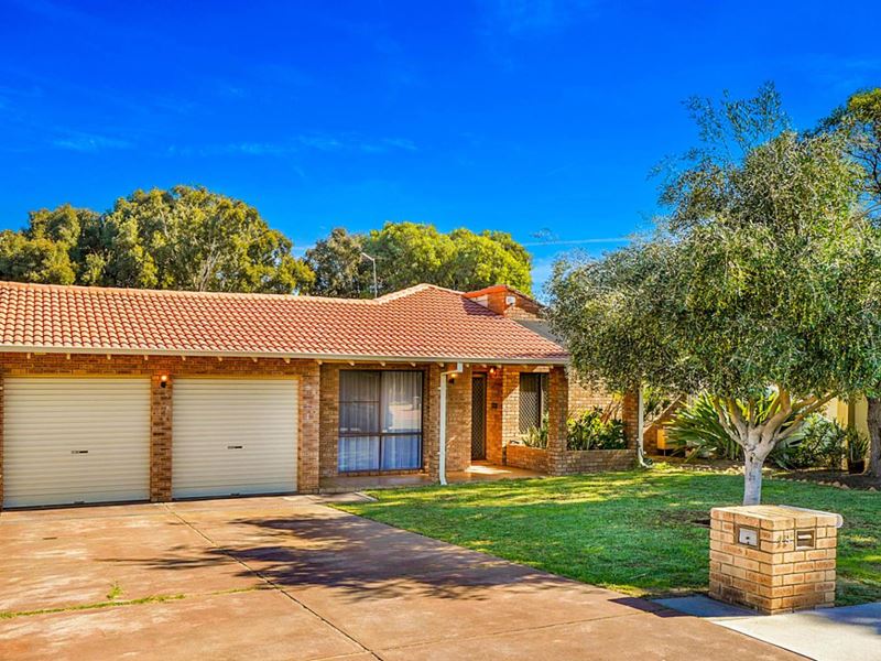 19 Kingfisher Place, Stirling WA 6021