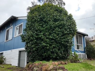 49 Muir Street, Manjimup WA 6258